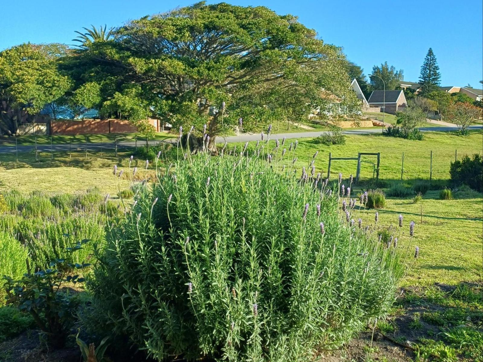 The Jbaynian Villa Jeffreys Bay